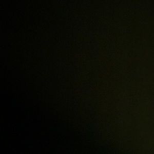 Meet your Posher, Madeleine